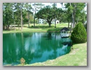 pond_7.jpg